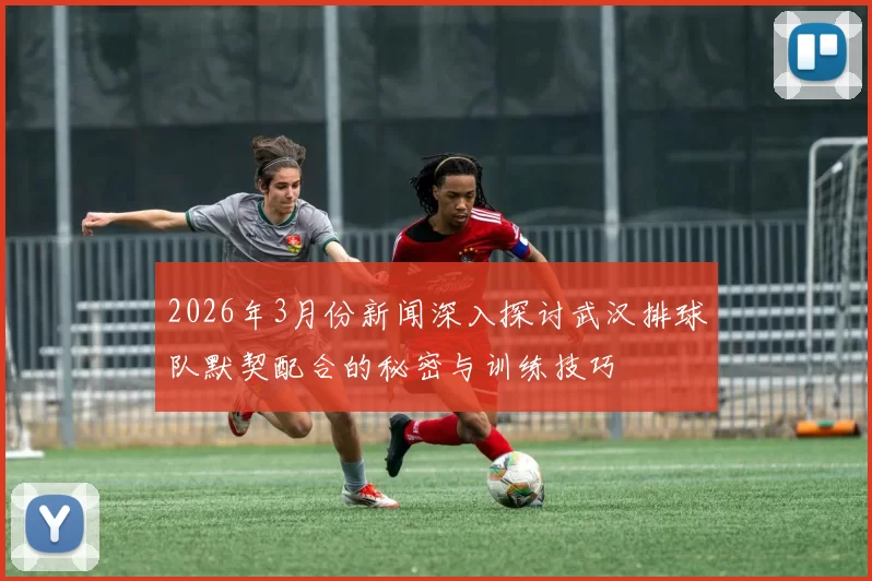 2026年3月份新闻深入探讨武汉排球队默契配合的秘密与训练技巧